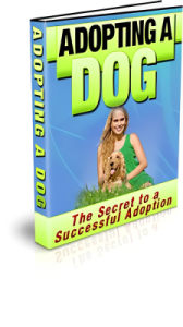 Adopting A Dog