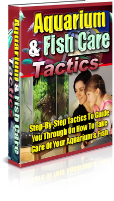 Aquarium & fish care tactics