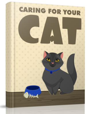Caring for your cat