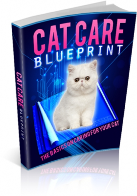 Cat care blueprint
