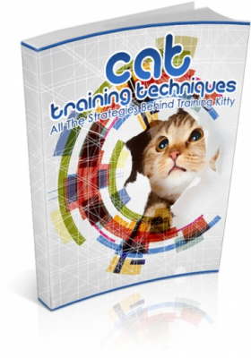 Cat training techniques