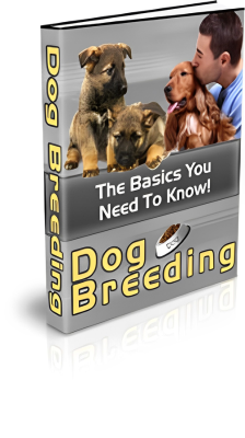Dog breeding