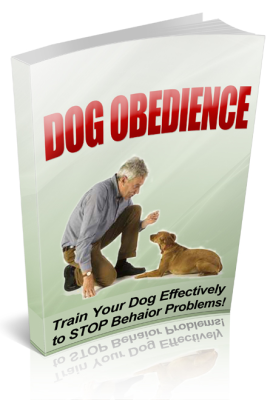 Dog obedience
