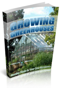 Growing Plants In Your Own Greenhouse