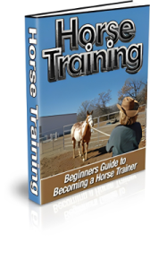 Horse Training