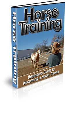 Horse training