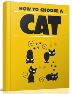How to Choose A Cat