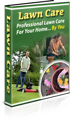 Lawn care