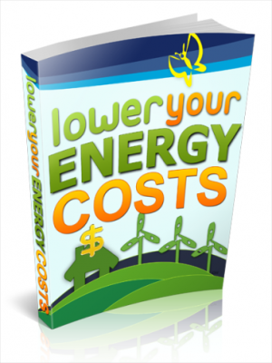 Lower your energy costs