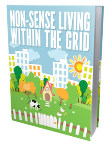 Non Sense Living Within The Grid