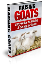 Raising Goats