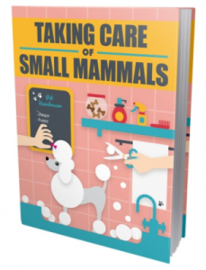 Taking Care Of Small Mammals