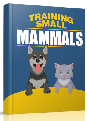 Training small mammals