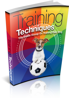 Training techniques