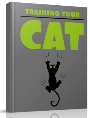 Training your cat