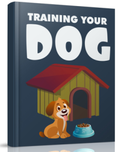 Training Your Dog