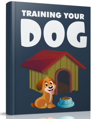 Training your dog
