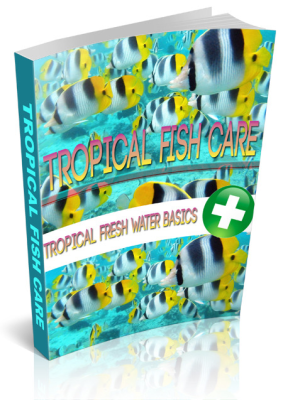 Tropical fish care