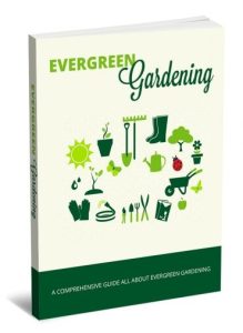 Evergreen Gardening