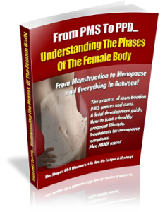Understanding The Phases Of The Female Body