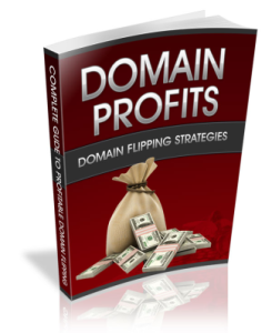 Domain Profits