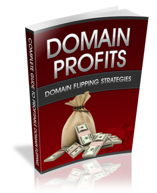 Domain profits